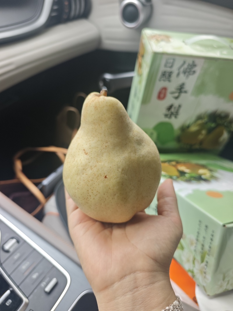 佛手梨
