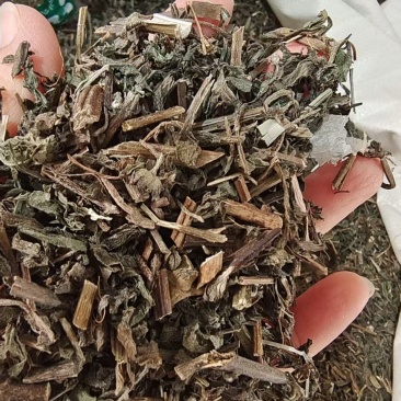 旱莲草墨旱莲2斤包邮量大优惠