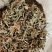 自然生长蒲公英熬药中药材2斤包邮量大优惠