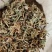 自然生长蒲公英熬药中药材2斤包邮量大优惠