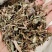自然生长蒲公英熬药中药材2斤包邮量大优惠