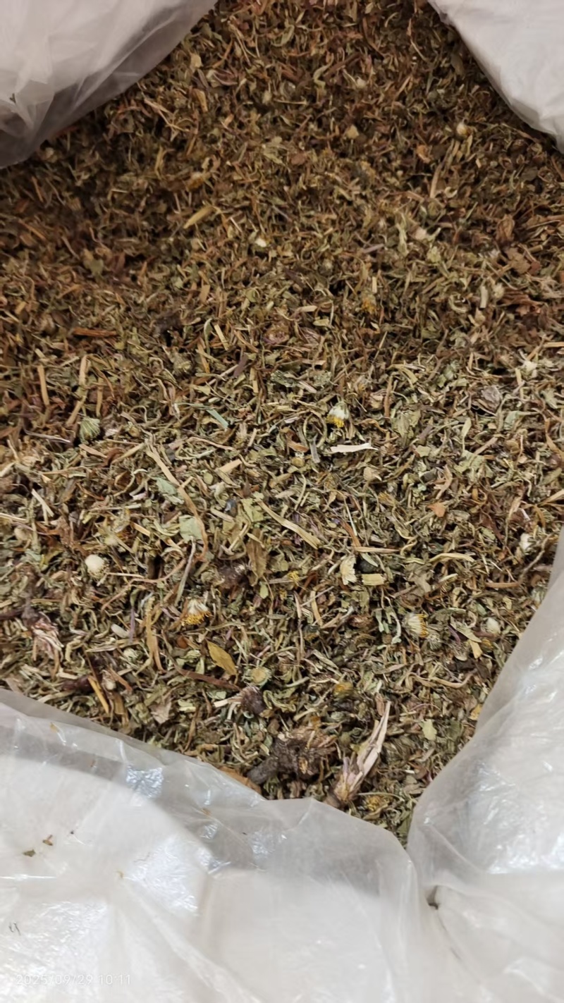 自然生长蒲公英熬药中药材2斤包邮量大优惠
