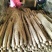 白玉山药大量接单产地直发量大从优欢迎来电咨询