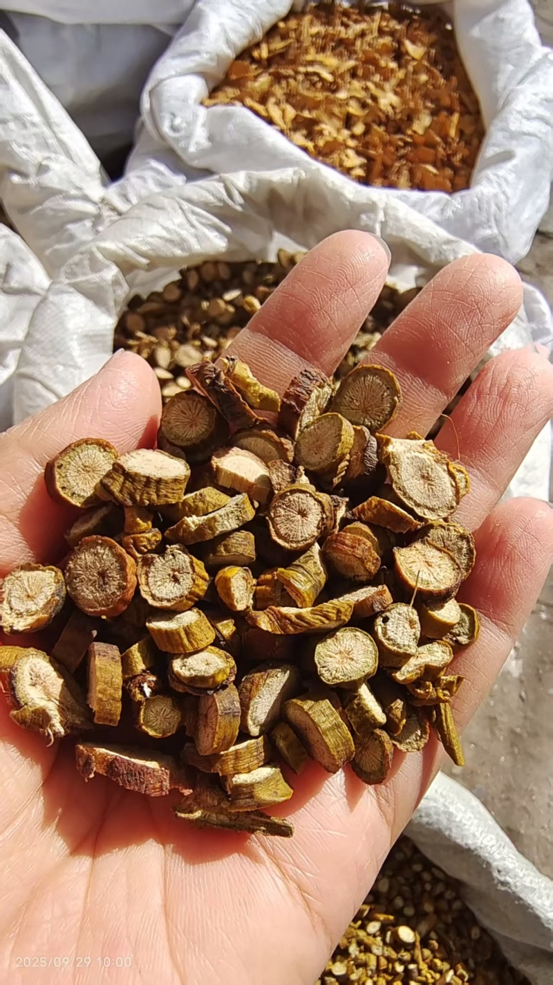 槲寄生大粒小粒都是选货2斤包邮量大优惠