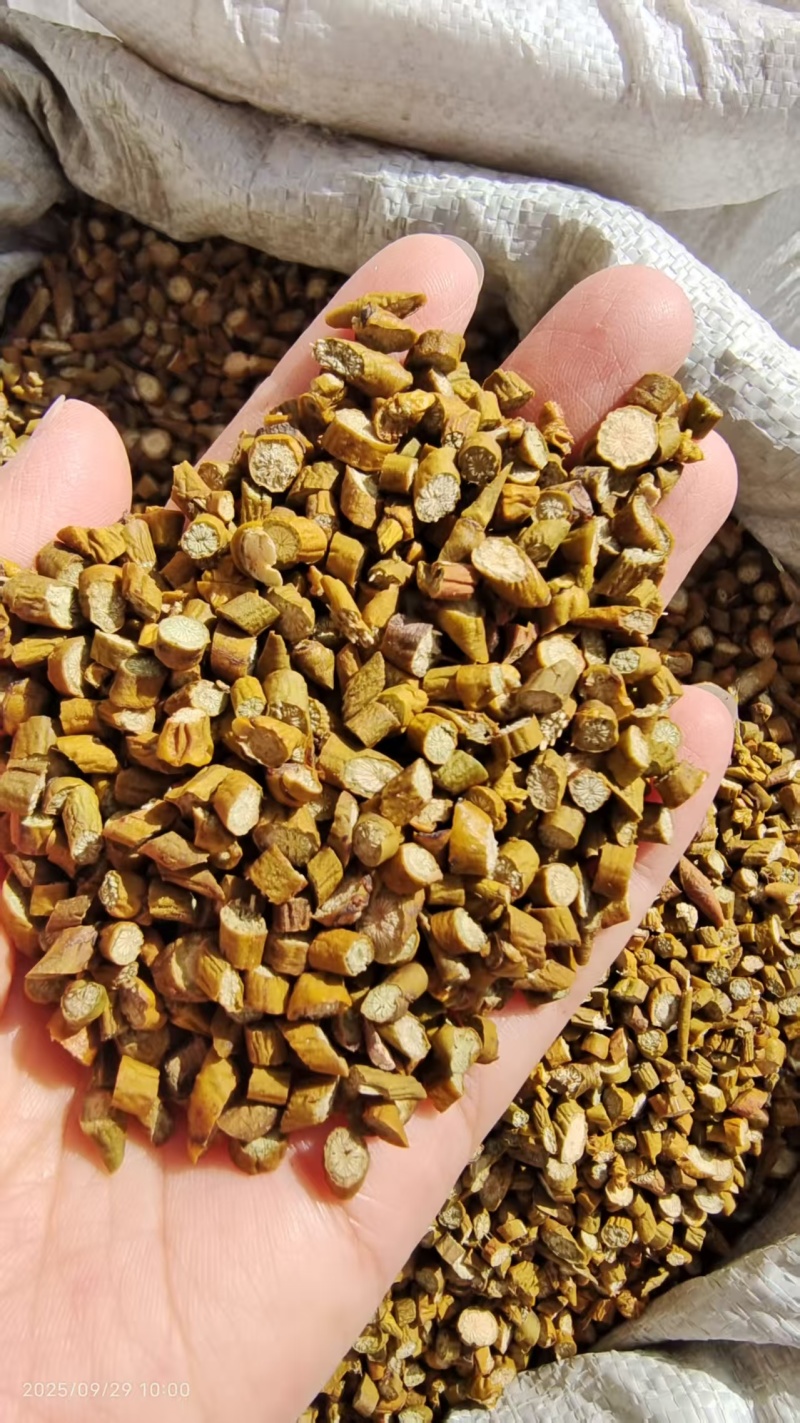 槲寄生大粒小粒都是选货2斤包邮量大优惠