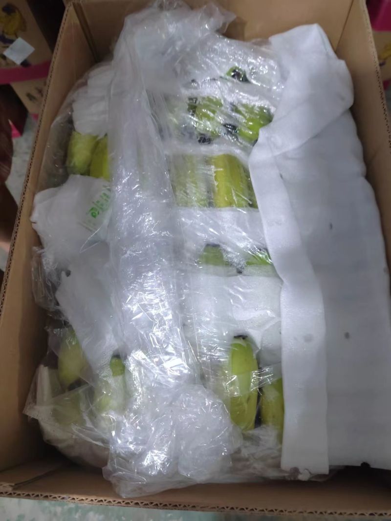 广东产区芭蕉香蕉全国可发定制打包专业代办
