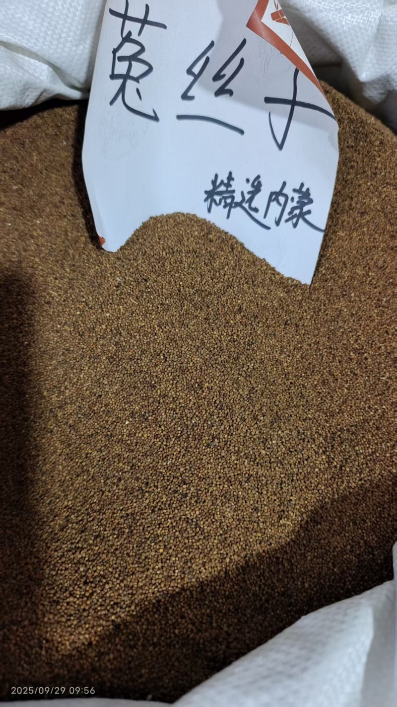内蒙菟丝子泡茶泡酒中药材干净无杂2斤包邮