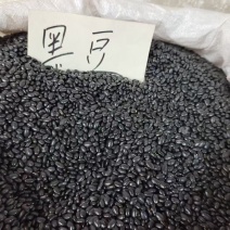 黑豆中药材干货药食同源2斤包邮量大优惠