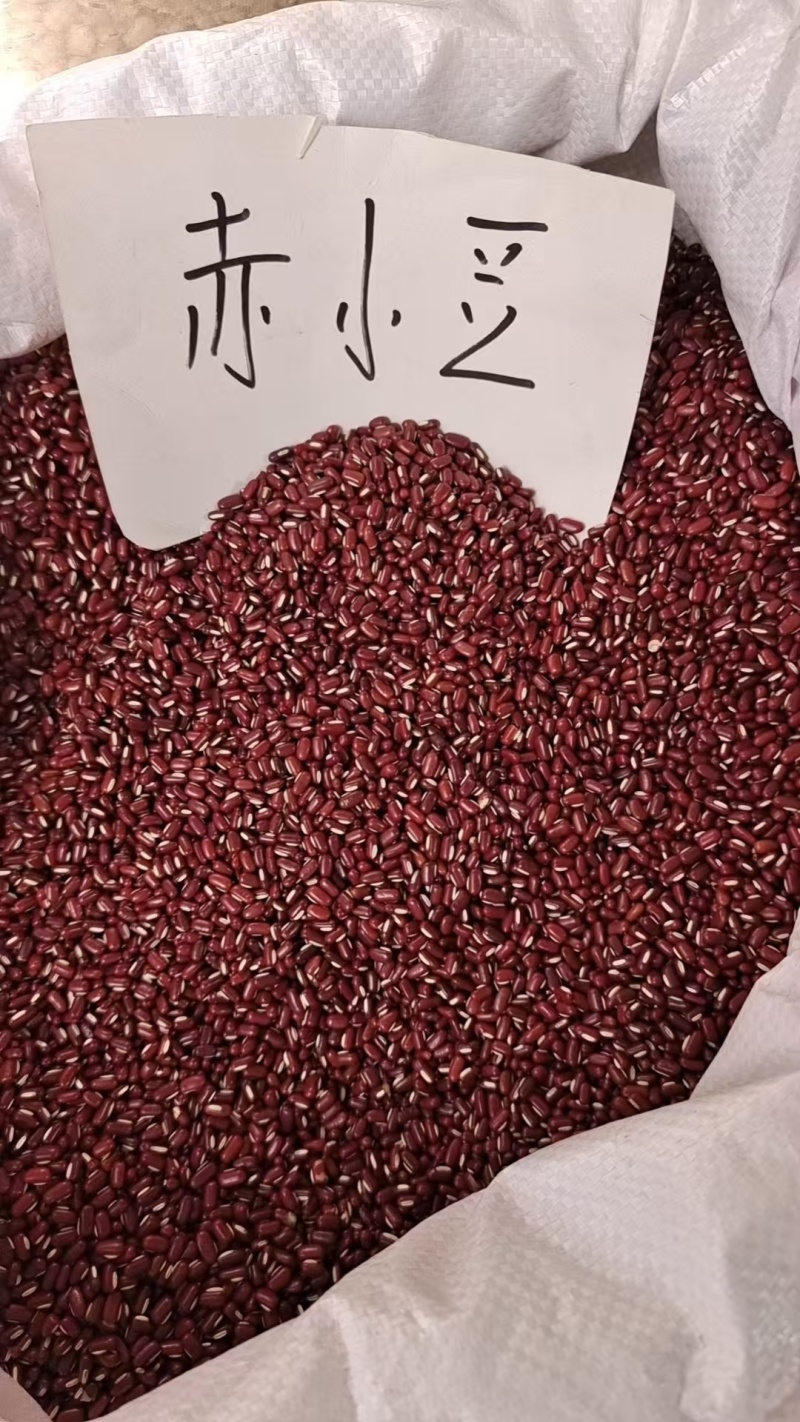 赤小豆药食同源2斤包邮量大优惠