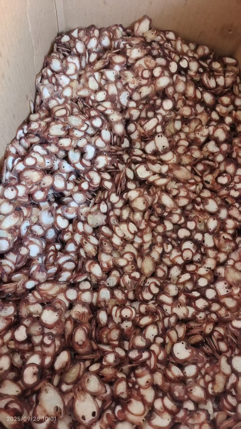 牛鞭片选货药食同源2斤包邮量大优惠
