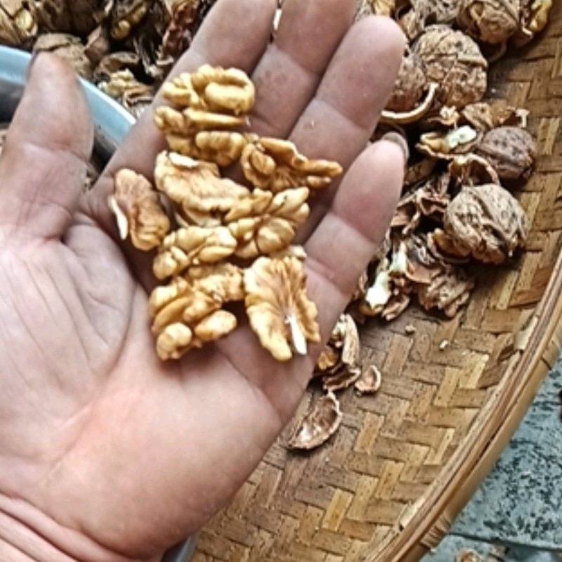 干核桃仁，新货核桃仁大量出货产地直发质量好不涩不苦