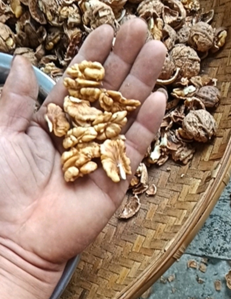 干核桃仁，新货核桃仁大量出货产地直发质量好不涩不苦