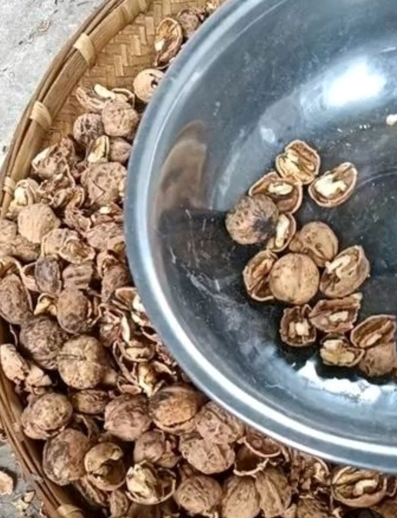 干核桃仁，新货核桃仁大量出货产地直发质量好不涩不苦