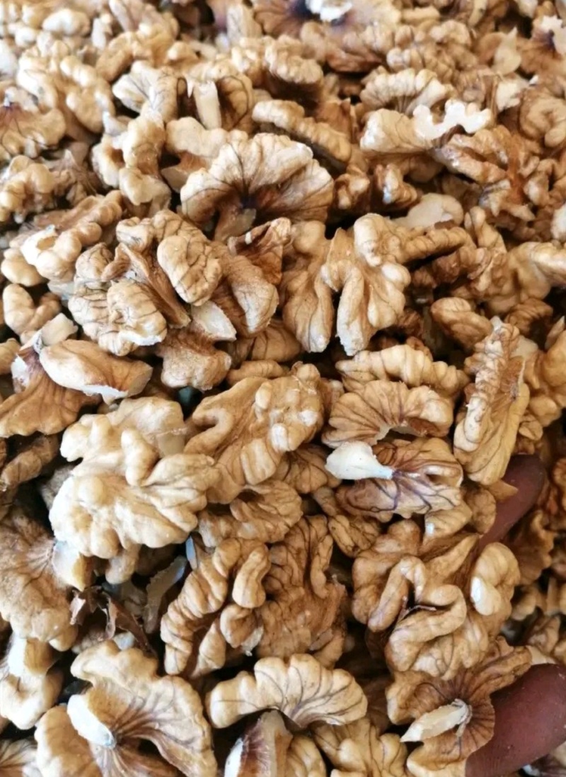 干核桃仁，新货核桃仁大量出货产地直发质量好不涩不苦