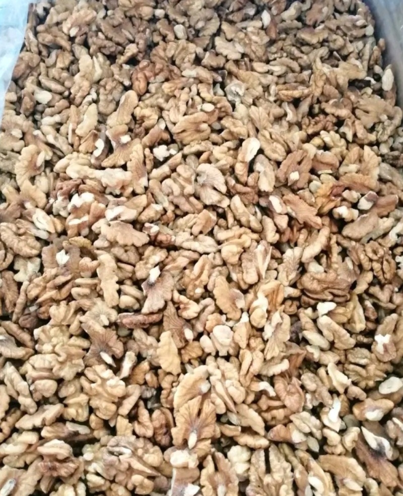 干核桃仁，新货核桃仁大量出货产地直发质量好不涩不苦