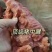 猪腱子肉前腱后腱中健龟腱现货供应批发厂家直销