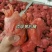 猪腱子肉前腱后腱中健龟腱现货供应批发厂家直销