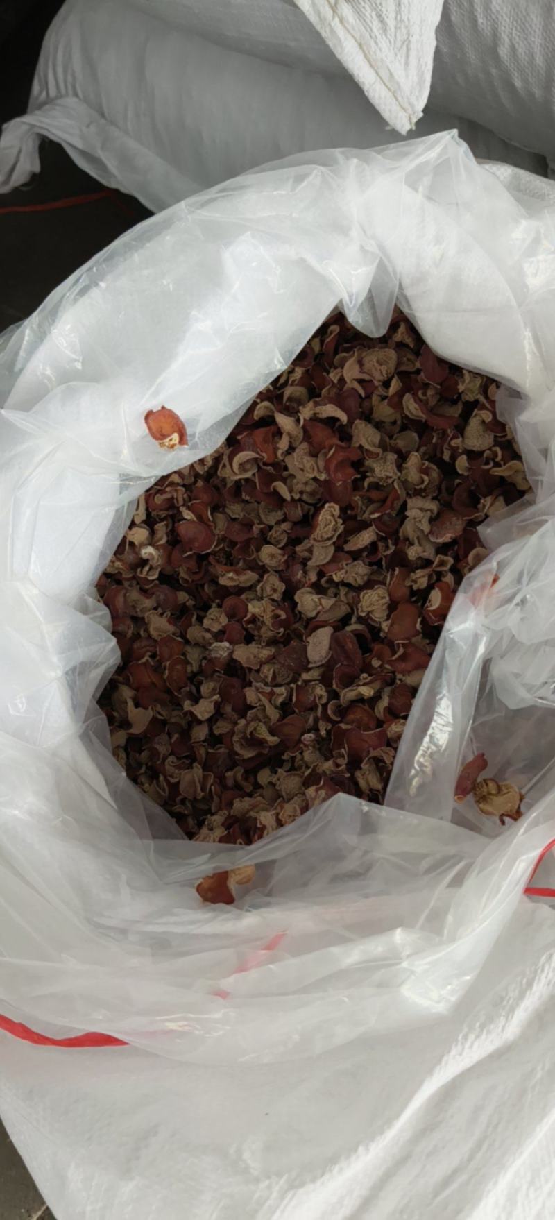 粉木耳贵妃儿农场直销产地直销大量现货