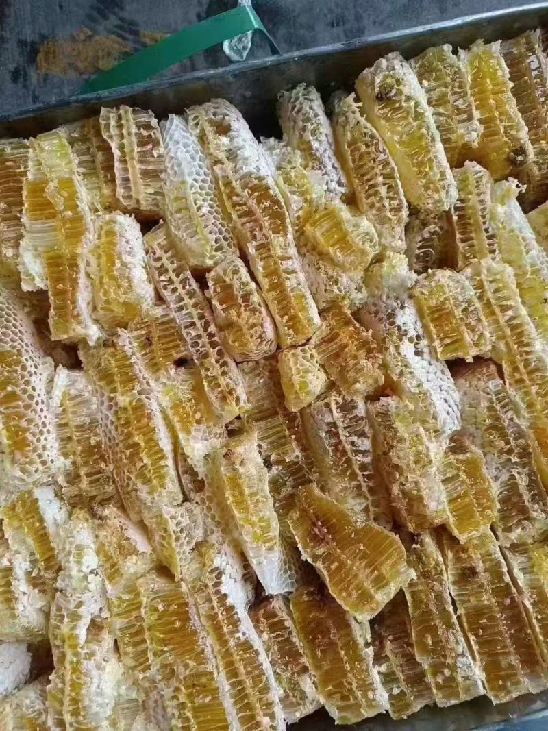 正宗野生蜂巢蜜基地每天现割地摊展会热销产品