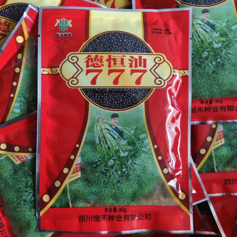 德恒油777油菜籽种子实心矮杆抗病抗倒高产高油油菜种子