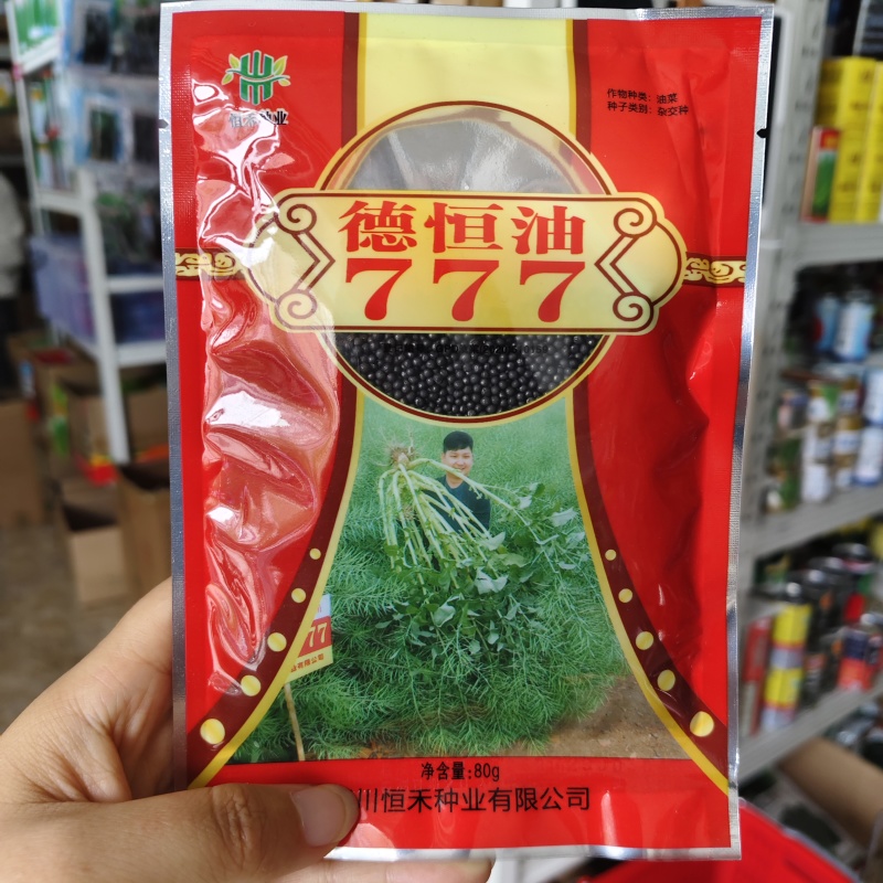 德恒油777油菜籽种子实心矮杆抗病抗倒高产高油油菜种子
