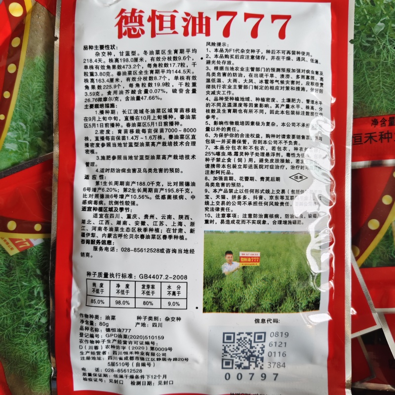 德恒油777油菜籽种子实心矮杆抗病抗倒高产高油油菜种子