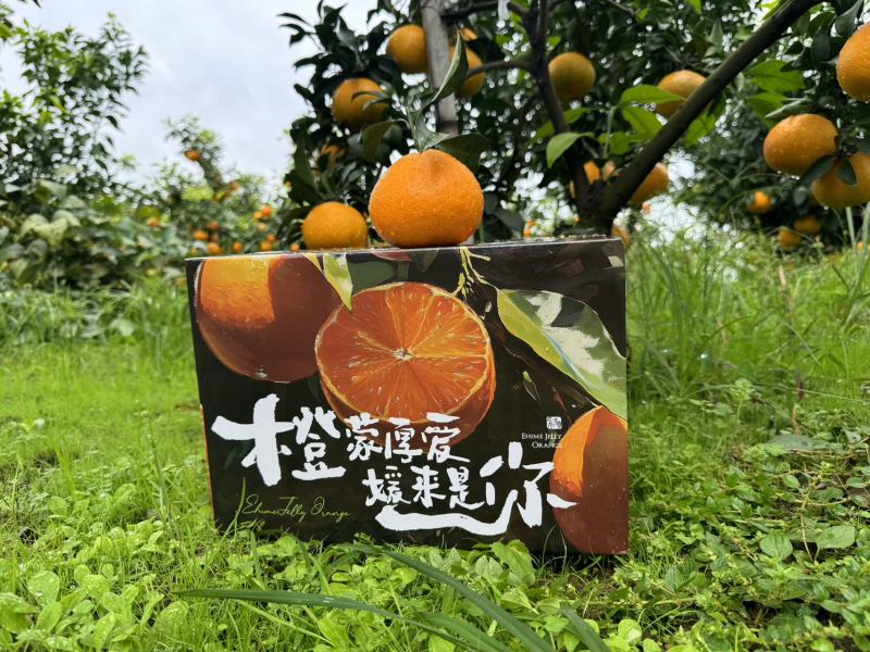 四川眉山爱媛果冻橙品质供货支持一件代发口感特别好哦