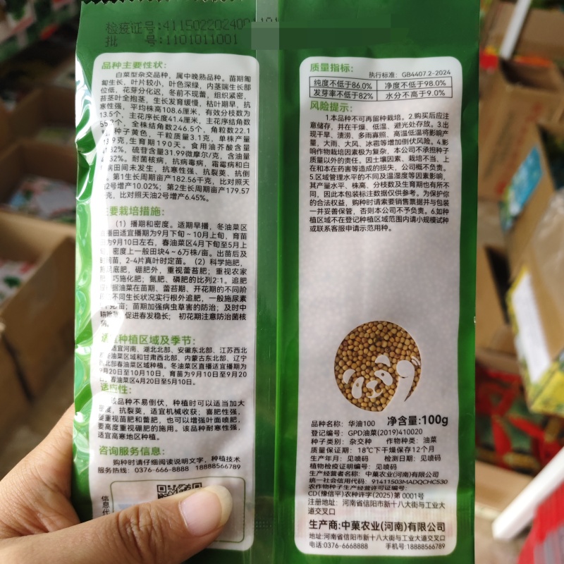 华油100油菜种子纯黄籽白菜型油菜籽种子出油率高抗病