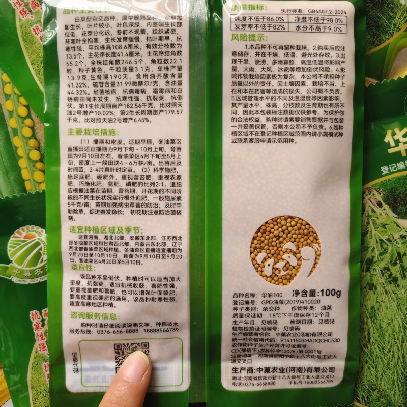 华油100油菜种子纯黄籽白菜型油菜籽种子出油率高抗病