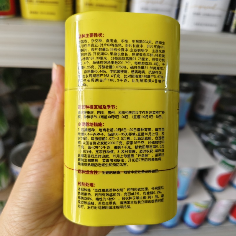 渝黄21号油菜种子纯黄籽甘蓝型油菜籽种子抗倒高含油抗病