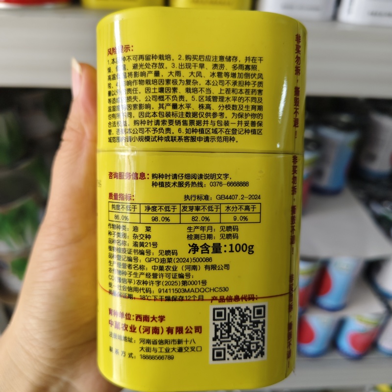 渝黄21号油菜种子纯黄籽甘蓝型油菜籽种子抗倒高含油抗病