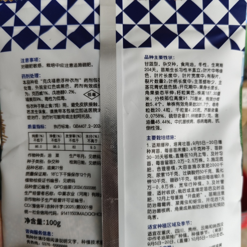 渝黄21号油菜种子纯黄籽甘蓝型油菜籽种子抗倒高含油抗病