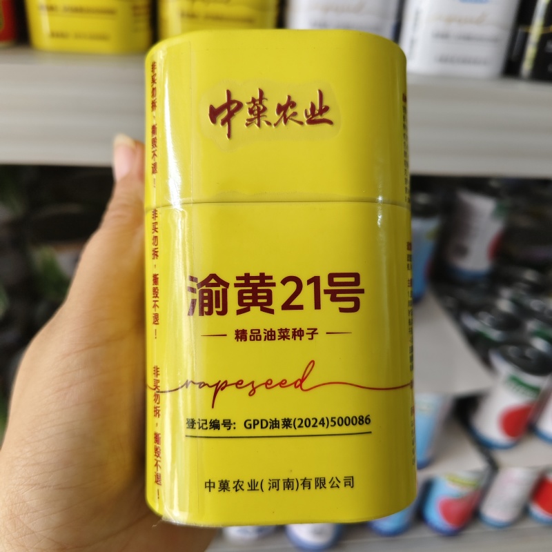渝黄21号油菜种子纯黄籽甘蓝型油菜籽种子抗倒高含油抗病
