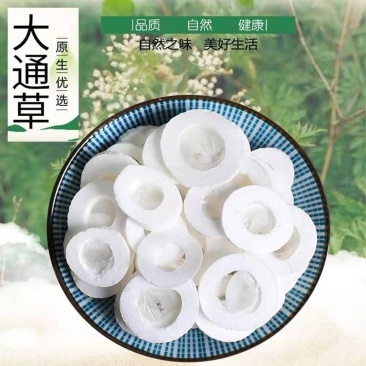 通草中药材大通草小通草货真价实批发零售冷背中药材大全