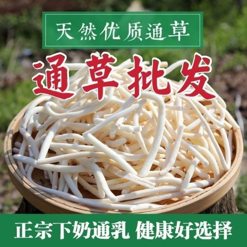 通草中药材大通草小通草货真价实批发零售冷背中药材大全