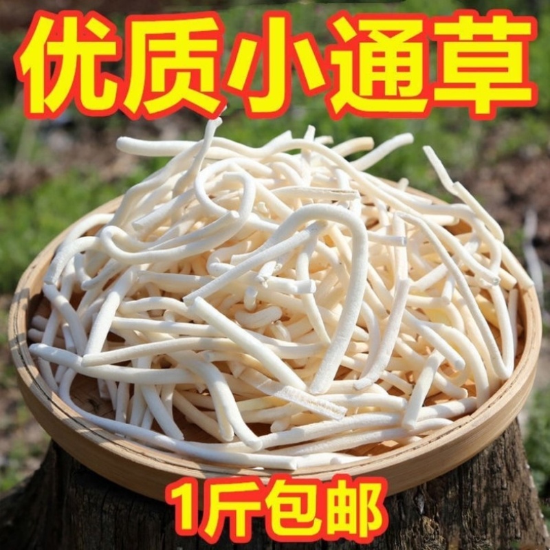 通草中药材大通草小通草货真价实批发零售冷背中药材大全