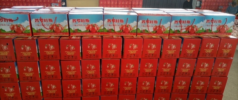 普罗旺斯西红柿安徽泗县西红柿货源充足量大从优联系