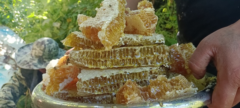 土蜂蜜