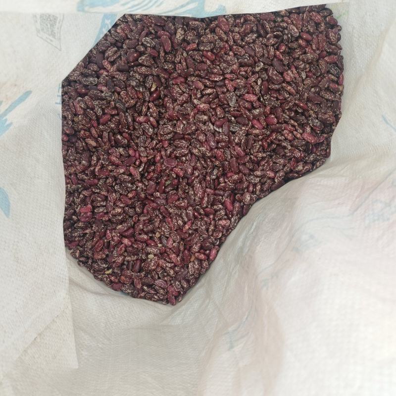 云南花红豆