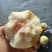 金秋红蜜白桃大量上市