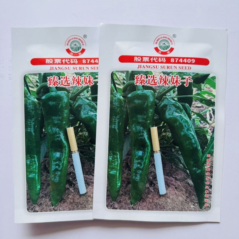 臻选辣妹子辣椒种子苏润青红干多用辣味浓大果羊角椒辣椒种子