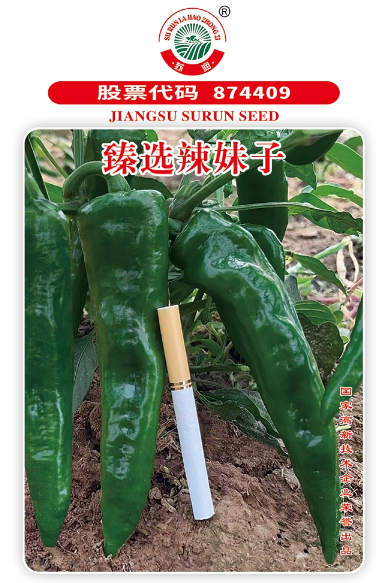 臻选辣妹子辣椒种子苏润青红干多用辣味浓大果羊角椒辣椒种子