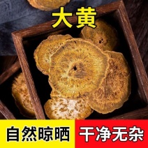 大黄中药材大黄片产地直销诚信经营中药材合作共赢