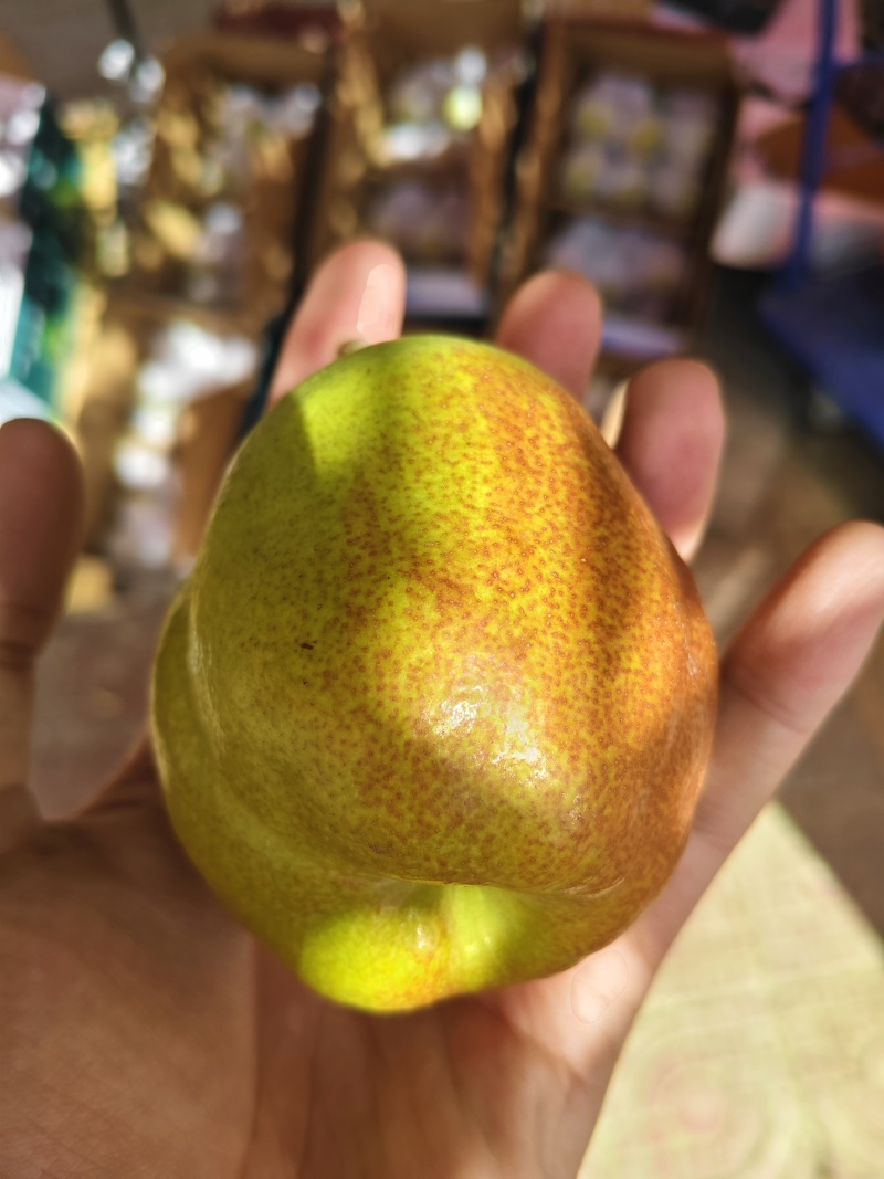 新疆库尔勒香梨