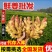 新疆生姜大姜老姜鲜姜辣味足块头大支持全国发货保质保量