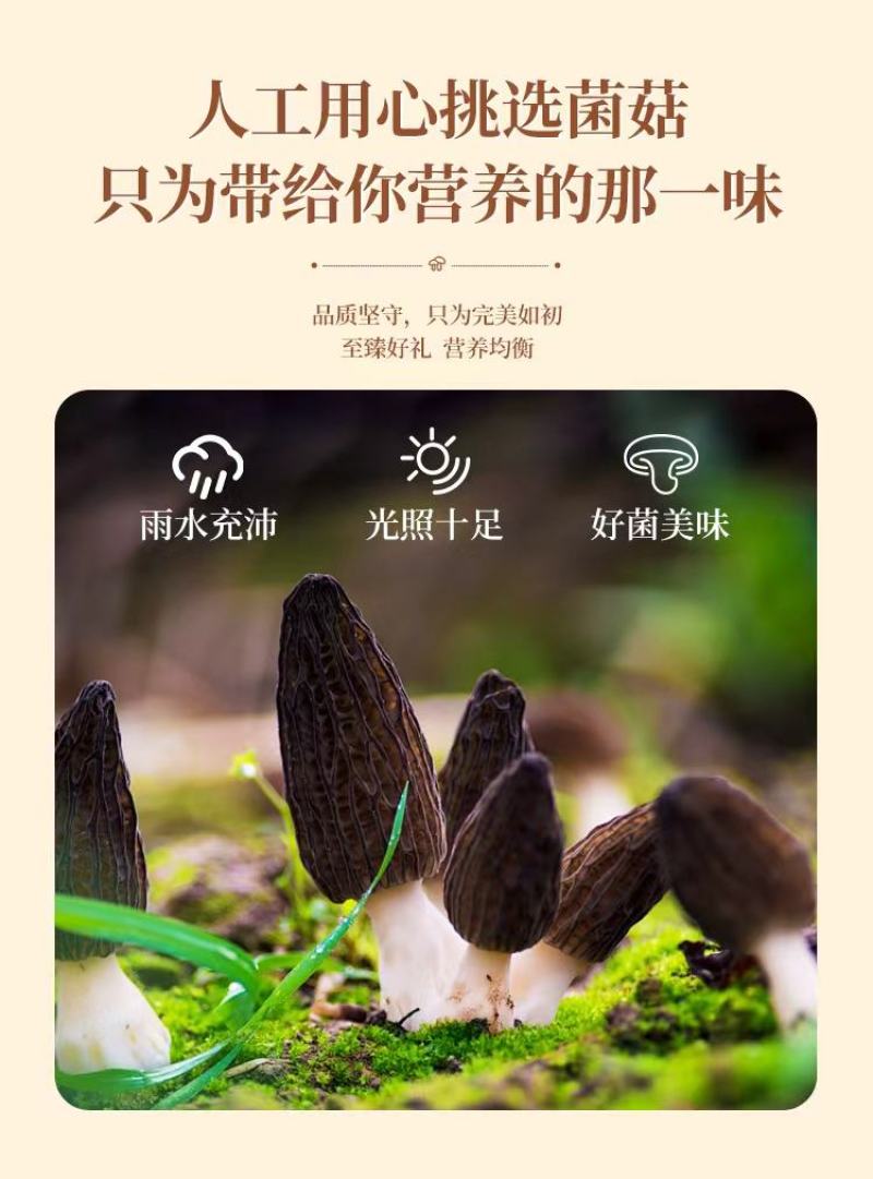 菌汤包58克/80克厂家直销电商商超欢迎联系