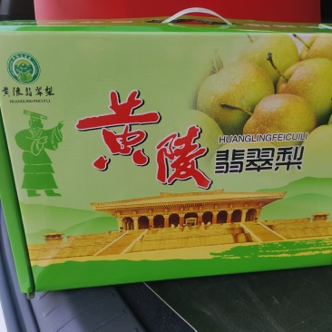 陕西省延安市黄陵县翡翠梨