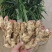 江苏生姜小黄姜鲜姜，规格齐全/窖存姜/冷库/坏烂包赔