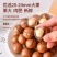 2025新果夏威夷果代发大量现货
