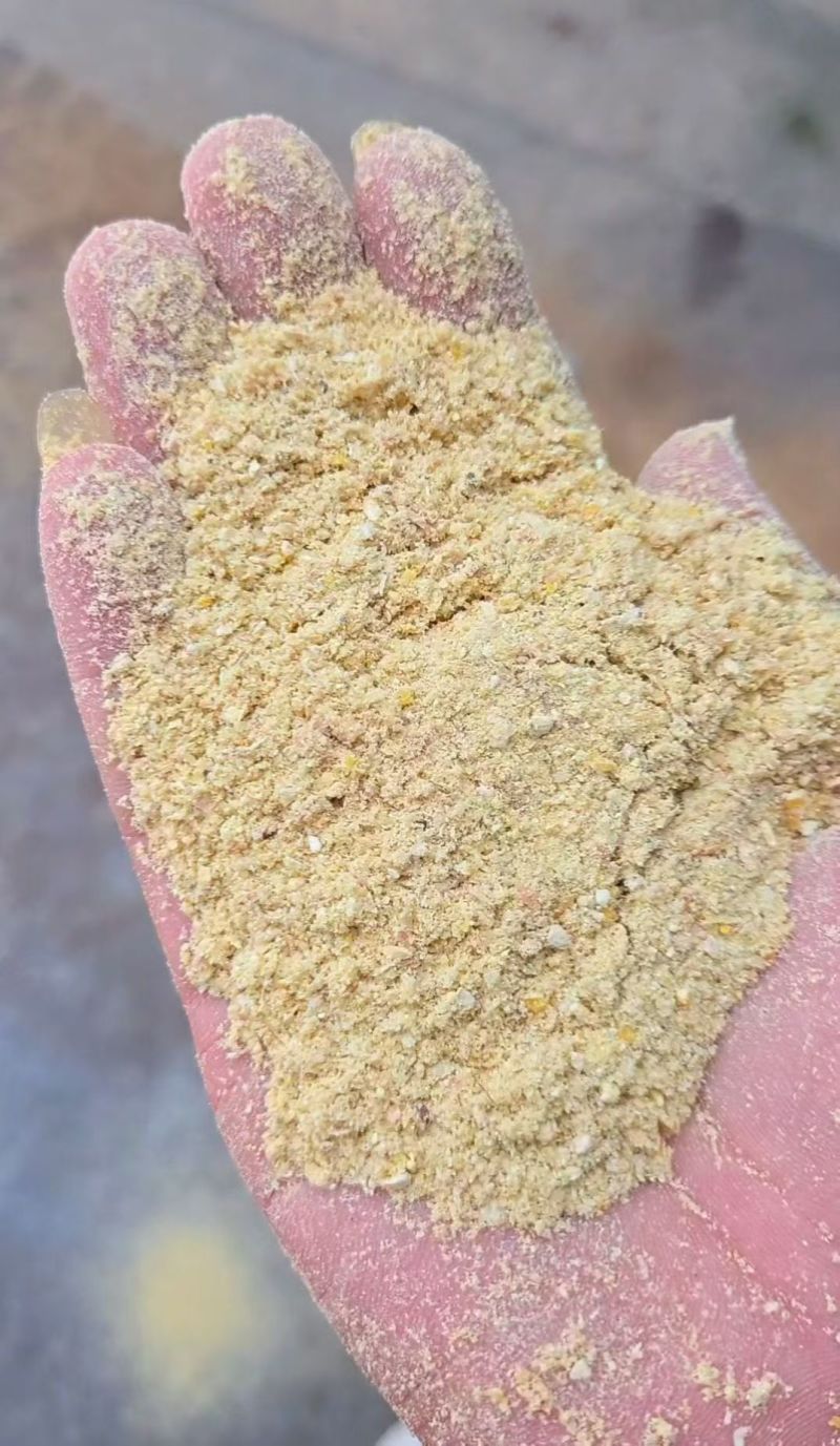玉米次粉
